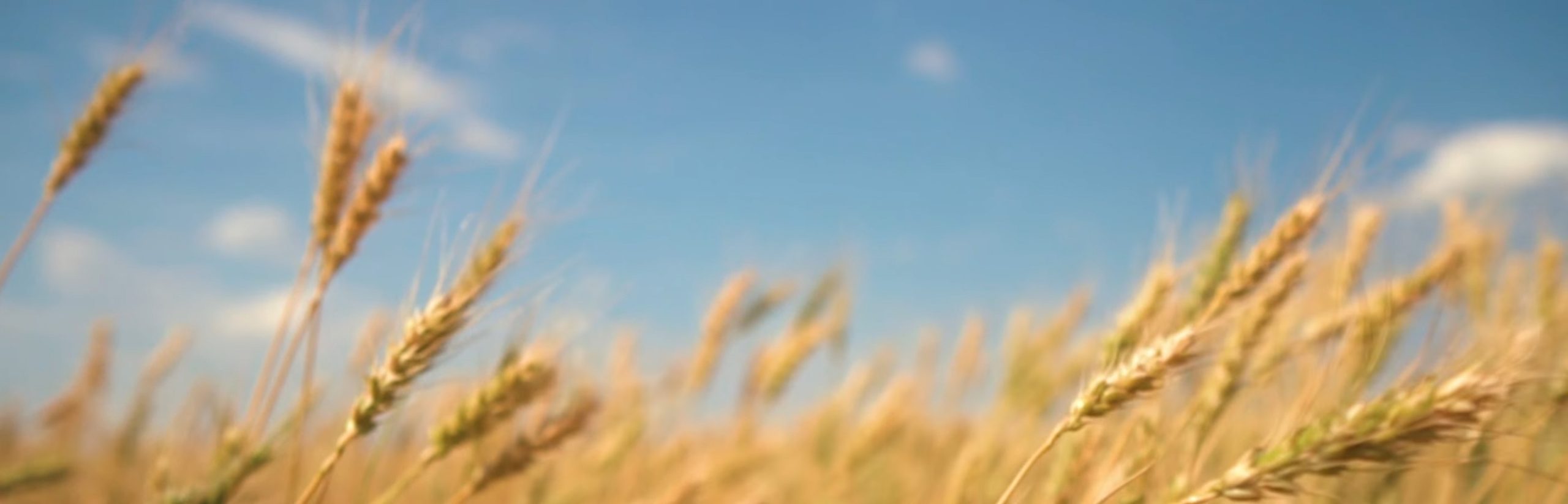 幻灯片-豪讯资源网